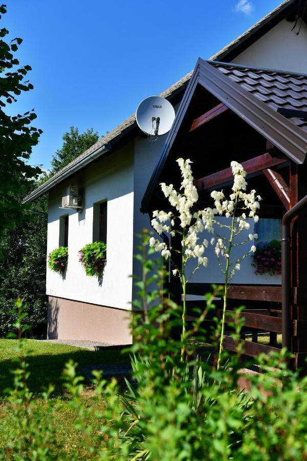 Holiday Home Ostrun Rakovica Ngoại thất bức ảnh